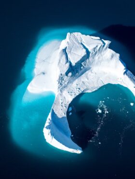 ［ブルーカーボン］海洋ジオエンジニアリングは、気候変動への解決策となり得るのか？